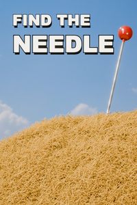Find The Needle cover